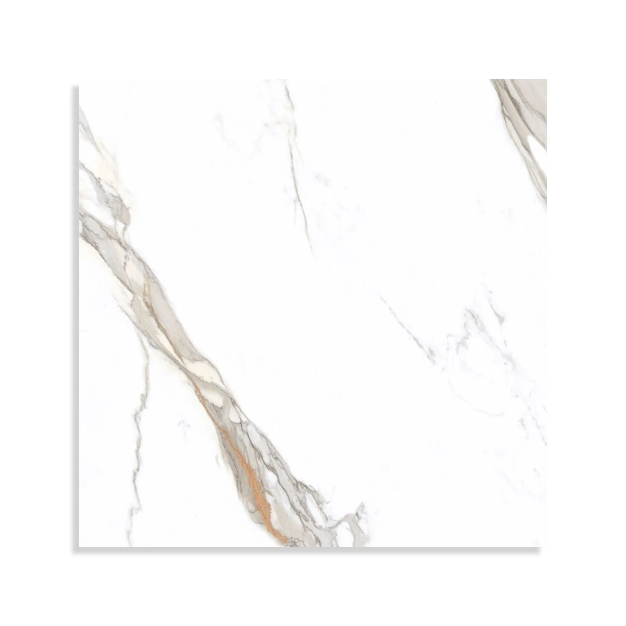 Minoli - Cosmopolitan Calacatta Gold, Polished/Lappato, 80 x 80cm (CMP1004) - Tiles & Stone To You