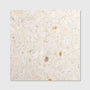 Ca' Pietra - Rialto Terrazzo Veneta White Honed, 60 x 60cm (16497CFG)
