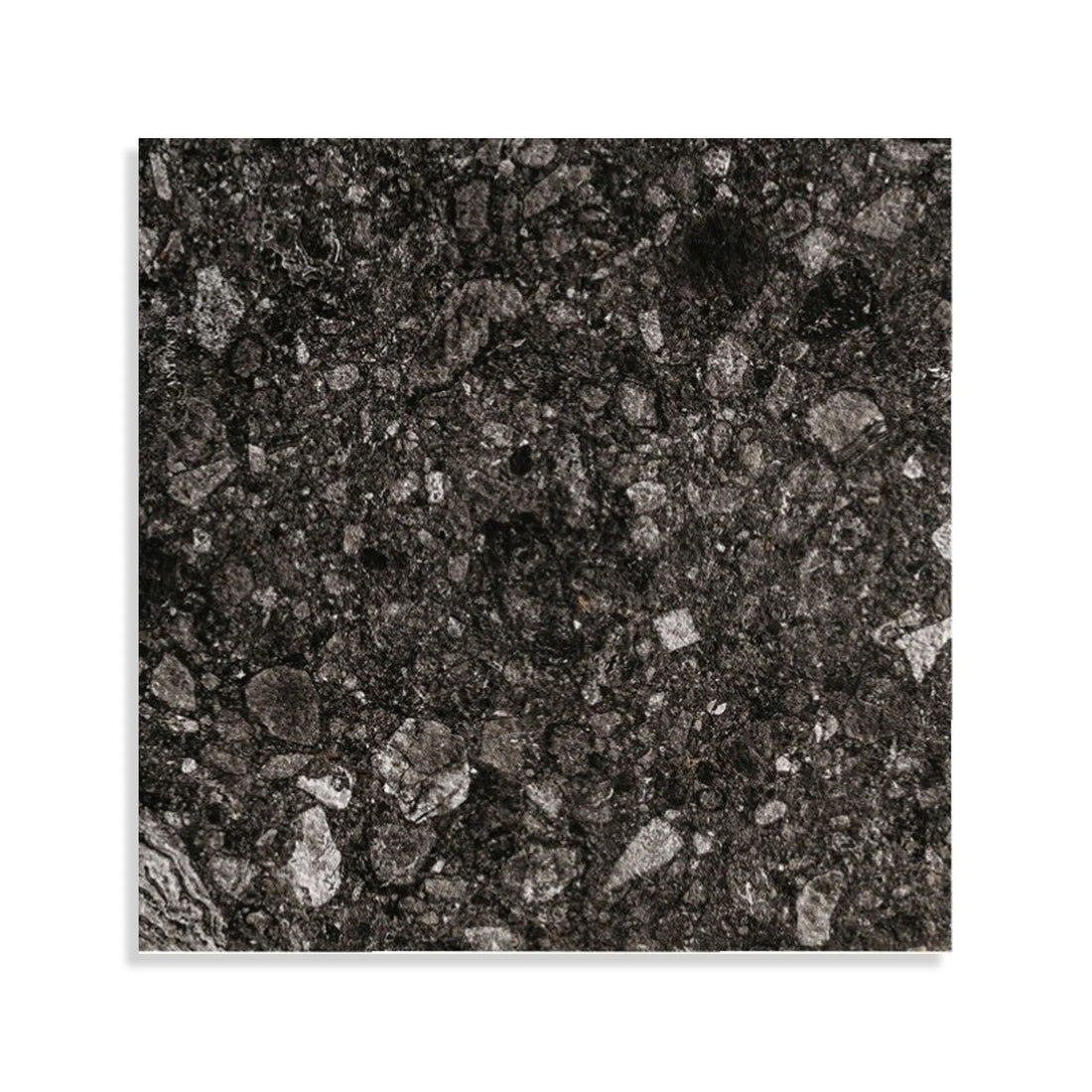 Minoli - Norway Svart Matt, 60 x 60cm (VC02757) - Tiles &amp; Stone To You