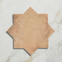 Ca' Pietra - Fez Porcelain Star Cotto Orange Matt 15.5 x 15.5cm (16596CFG)