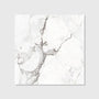 Ca' Pietra - Sculpture Grande Porcelain Cararra White Brushed, 100 x 100cm (16561CFG)