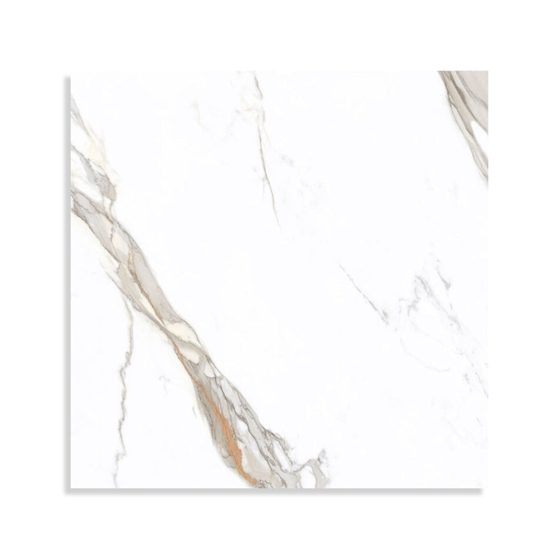 Minoli - Cosmopolitan Calacatta Gold, Matt/Natural, 80 x 80cm (CMP1006) - Tiles &amp; Stone To You