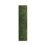 Minoli - Luminous Green Gloss, 6 x 24cm (VC03641)