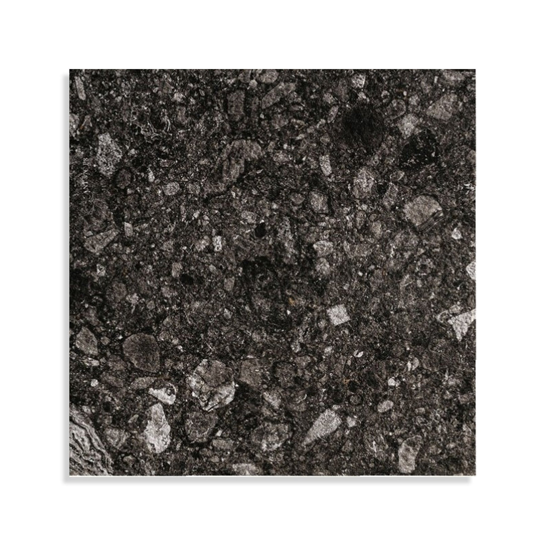 Minoli - Norway Svart Matt, 60 x 60cm (VC02757) - Tiles &amp; Stone To You